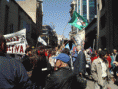 /album/en-lucha-por-fuentes-de-trabajo/a316000-313505941998864-243064278-n-gif/